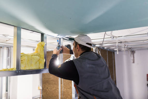 Best Commercial Insulation in High Springs, FL