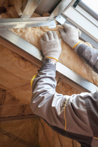 Best Residential Insulation in High Springs, FL