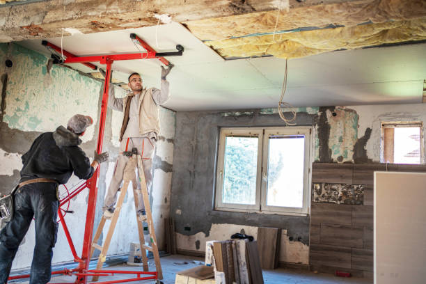 Best Insulation Maintenance and Repair in High Springs, FL